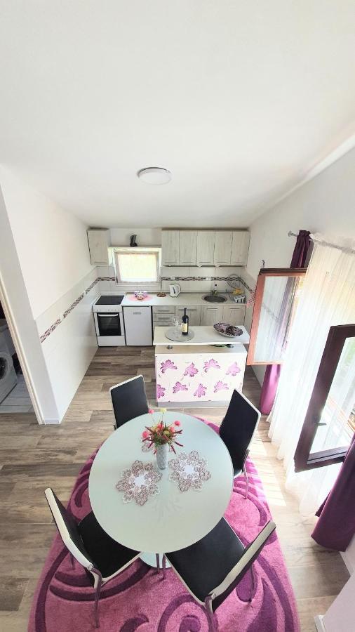 Apartment Jelena Sutvara Котор Экстерьер фото